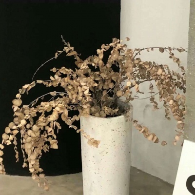 崖州福瑞交流群